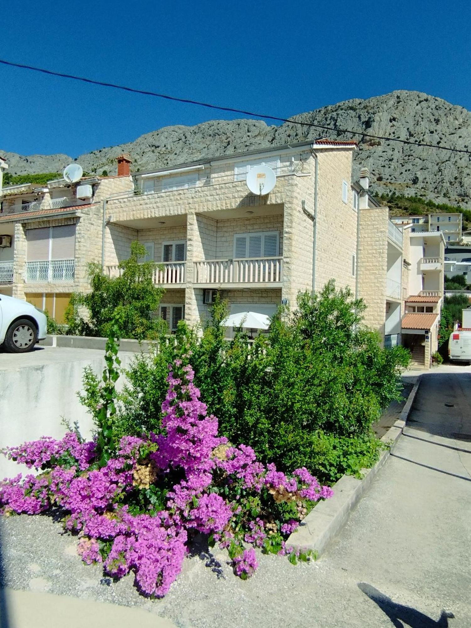 אומיס Ferienwohnung Am Sandstrand מראה חיצוני תמונה